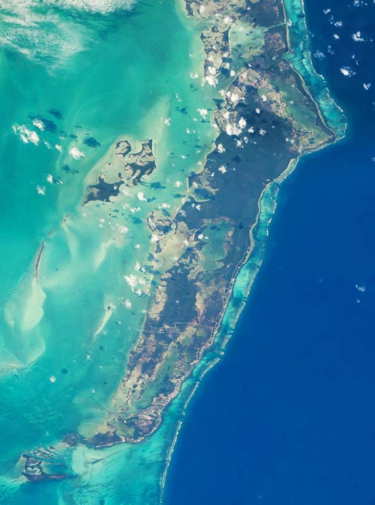 Ambergris Caye's beach and docks