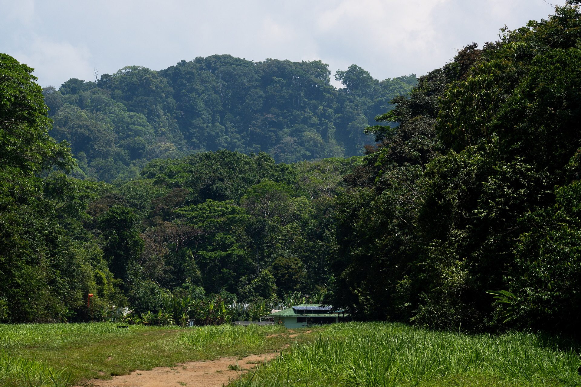 Corcovado
