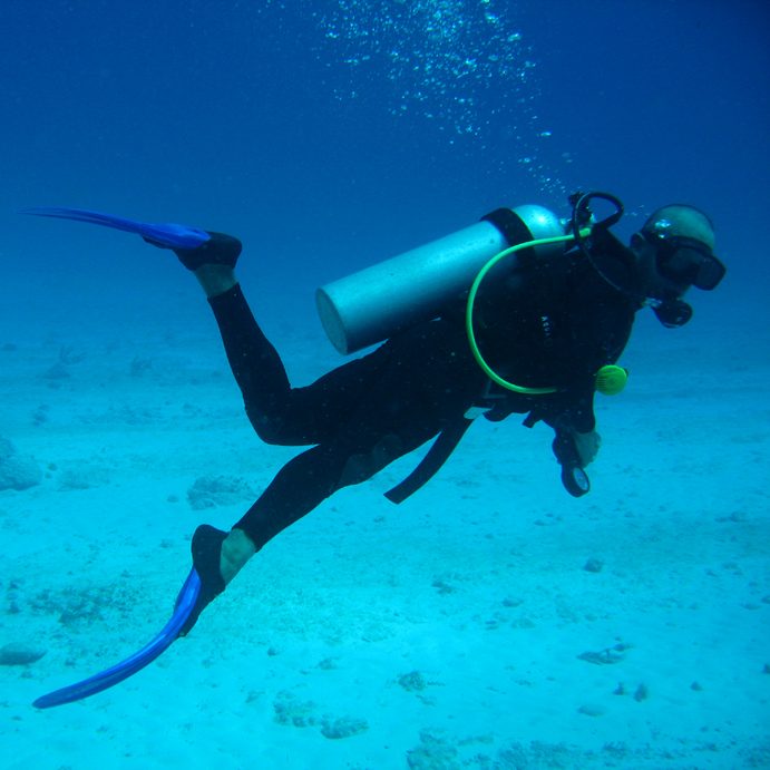 Diving with manta rays