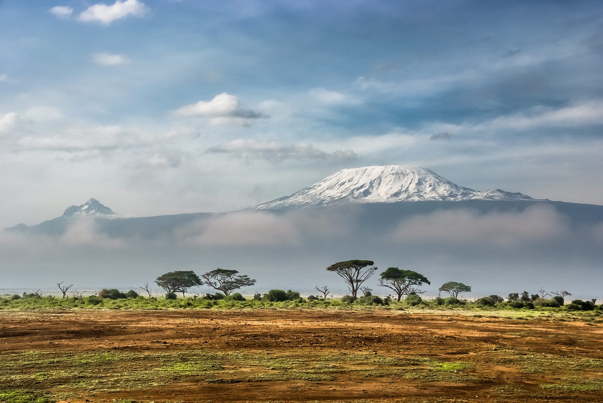 The Serengeti plains with wildebeest herds at sunset