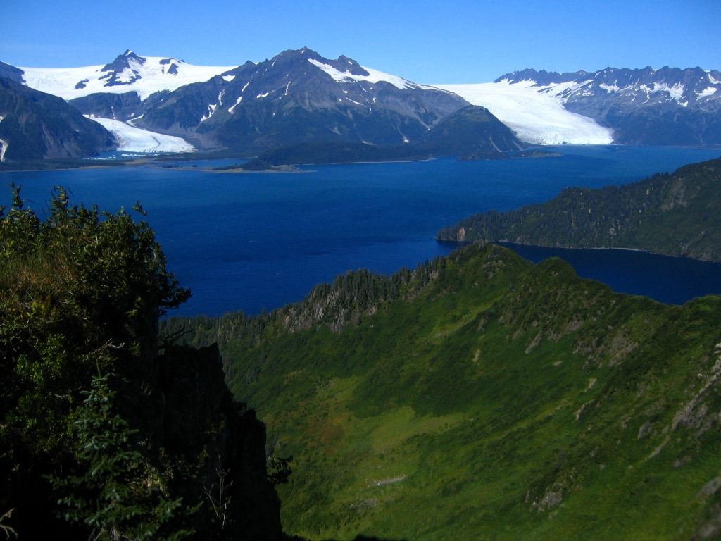 Kenai Fjords' ice and wildlife