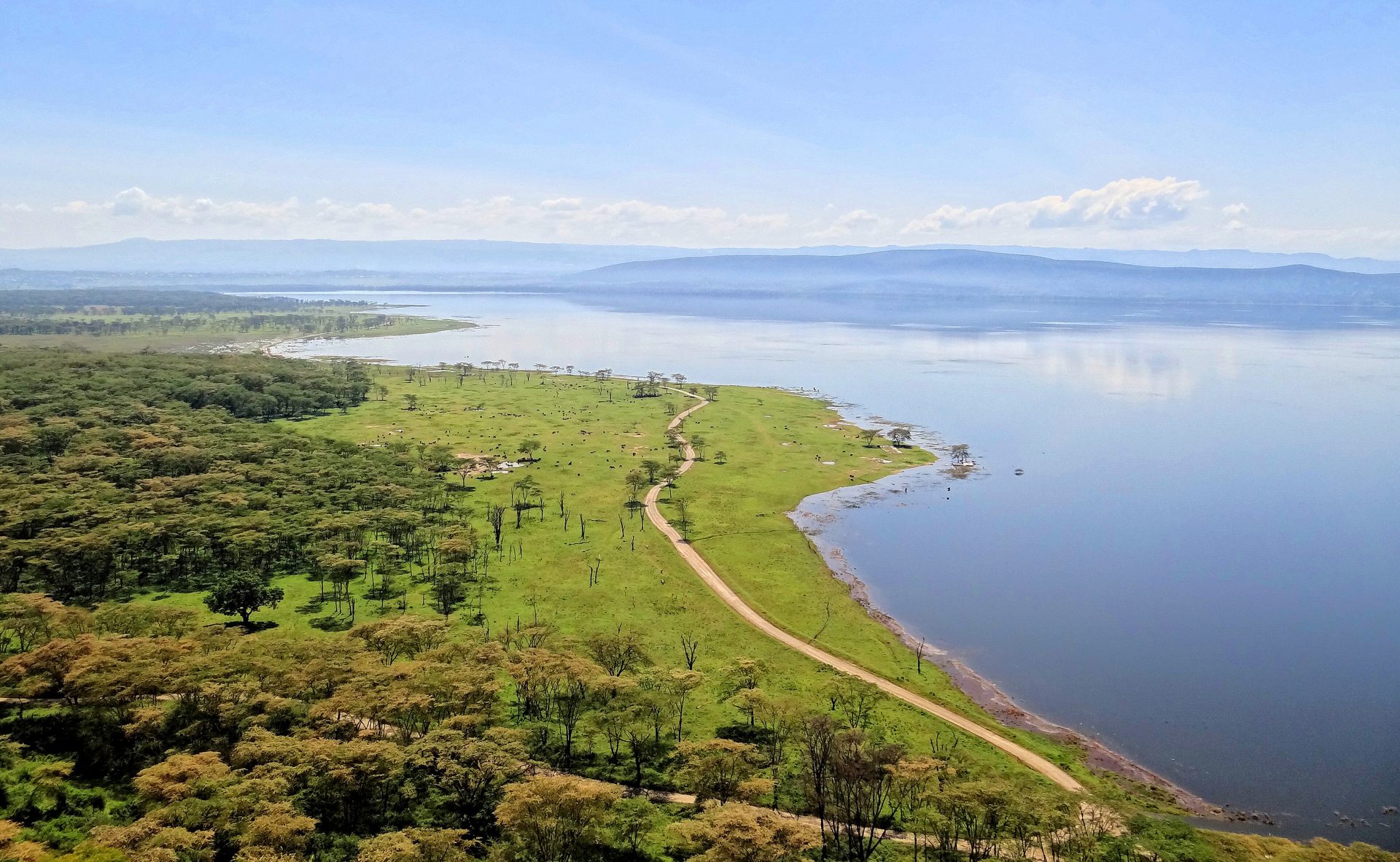 Flamingos and rhinos at Lake Nakuru