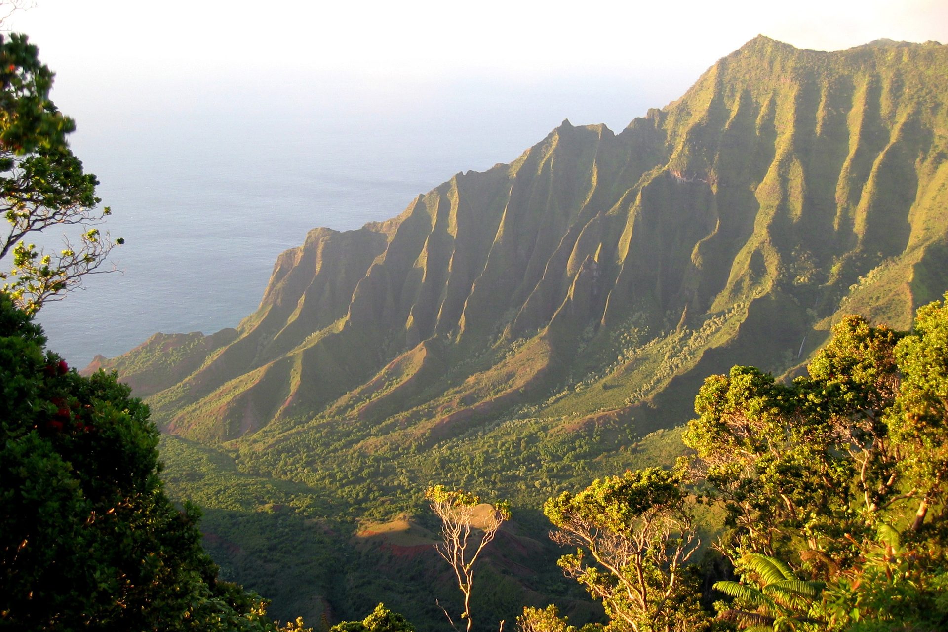The Na Pali Coast cliffs on Kauai