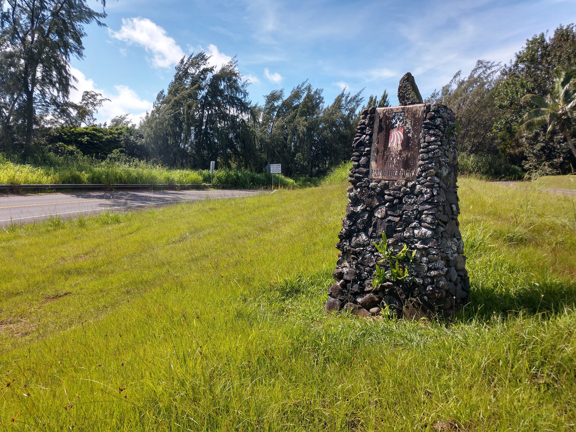 The winding Road to Hana through rainforest