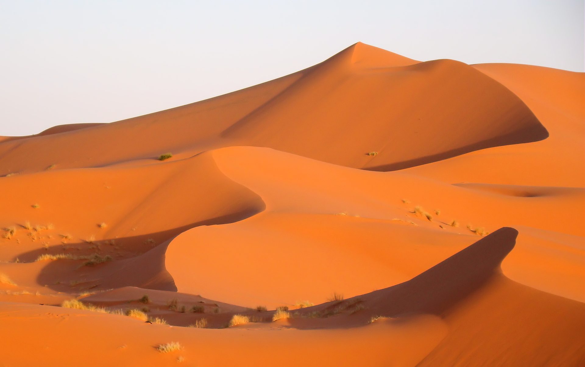 Sahara dunes at Erg Chebbi