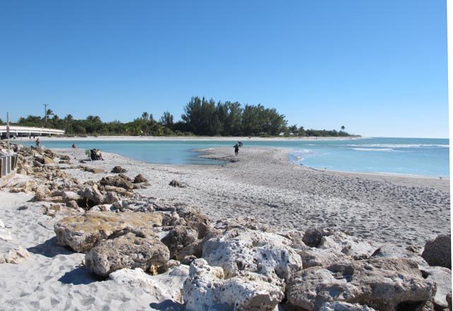 Shell-strewn beach on Sanibel Island